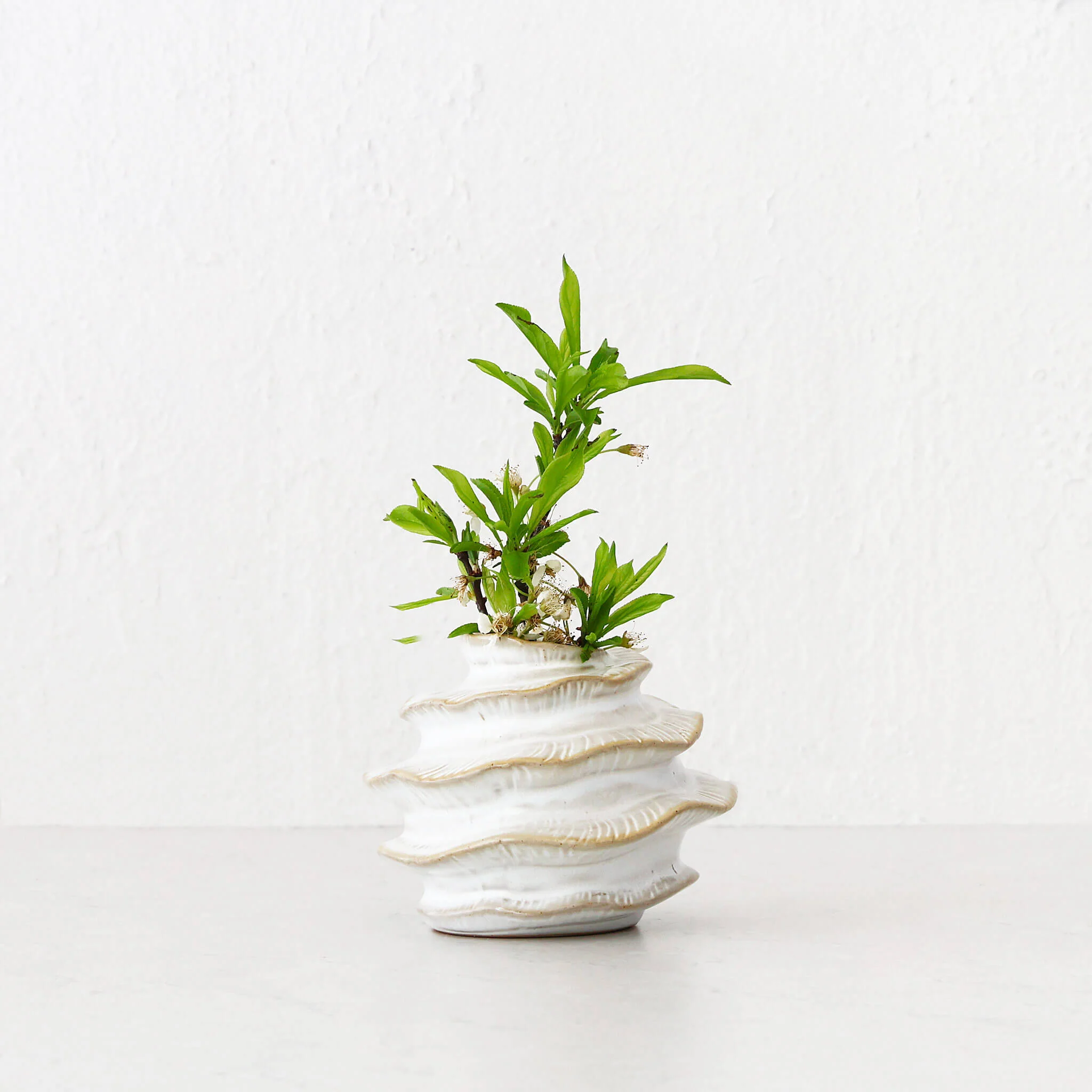 BARDIN ORGANIC GLOSS BUD VASE BUNDLE X2  |  MEDIUM + TALL  |  BURNISHED PARCHMENT CERAMIC - Image 3