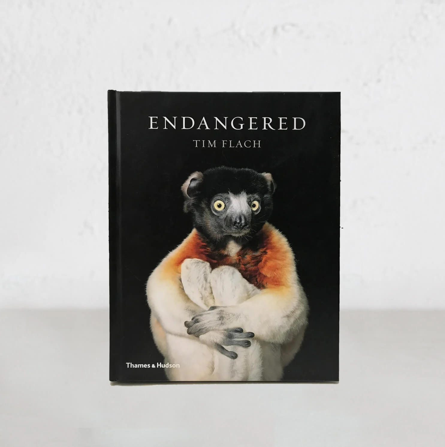 ENDANGERED | TIM FLACH
