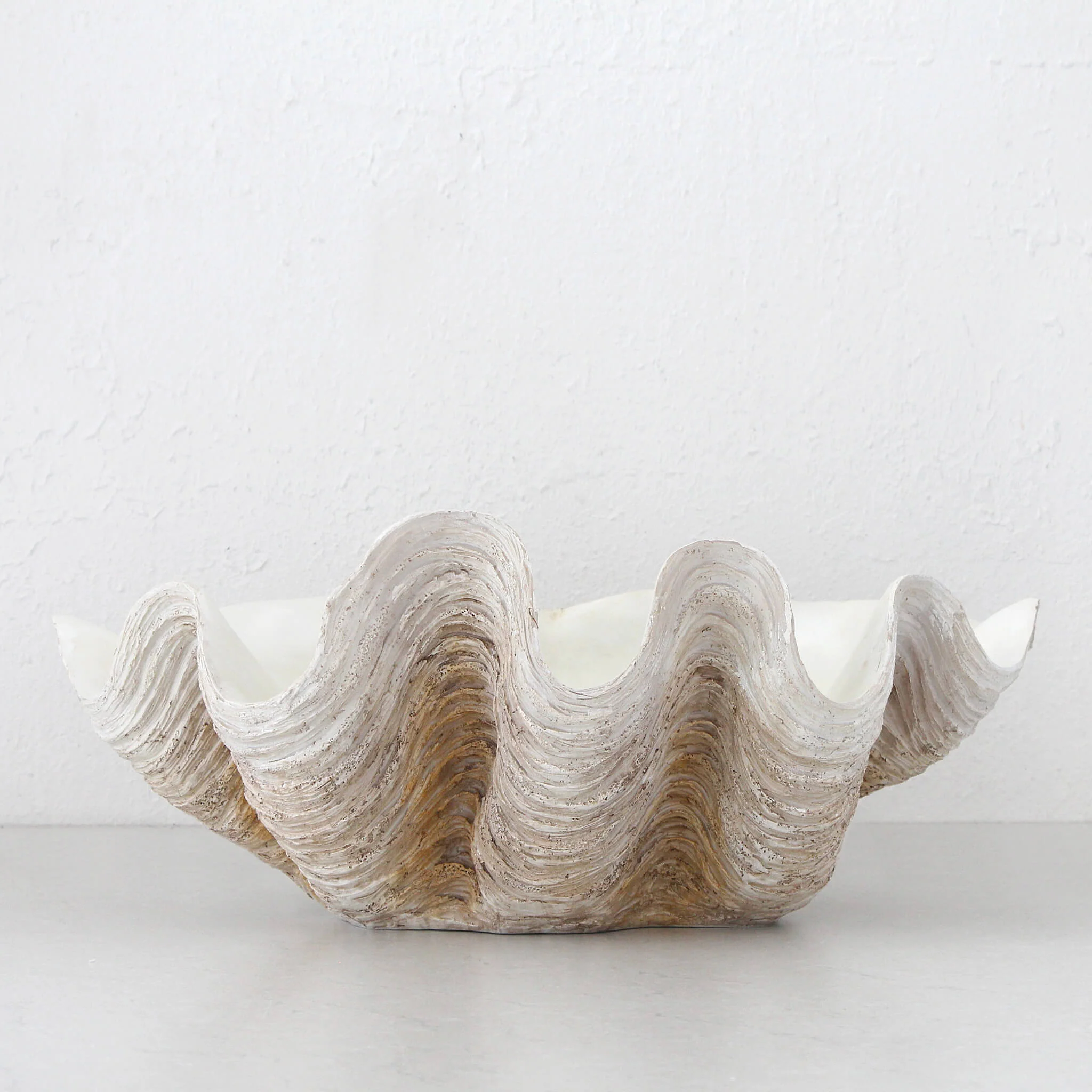 GIANT CLAM SHELL  |  DECORATIVE BOWL   |  NATURAL RESIN  |  GRAND - Image 6
