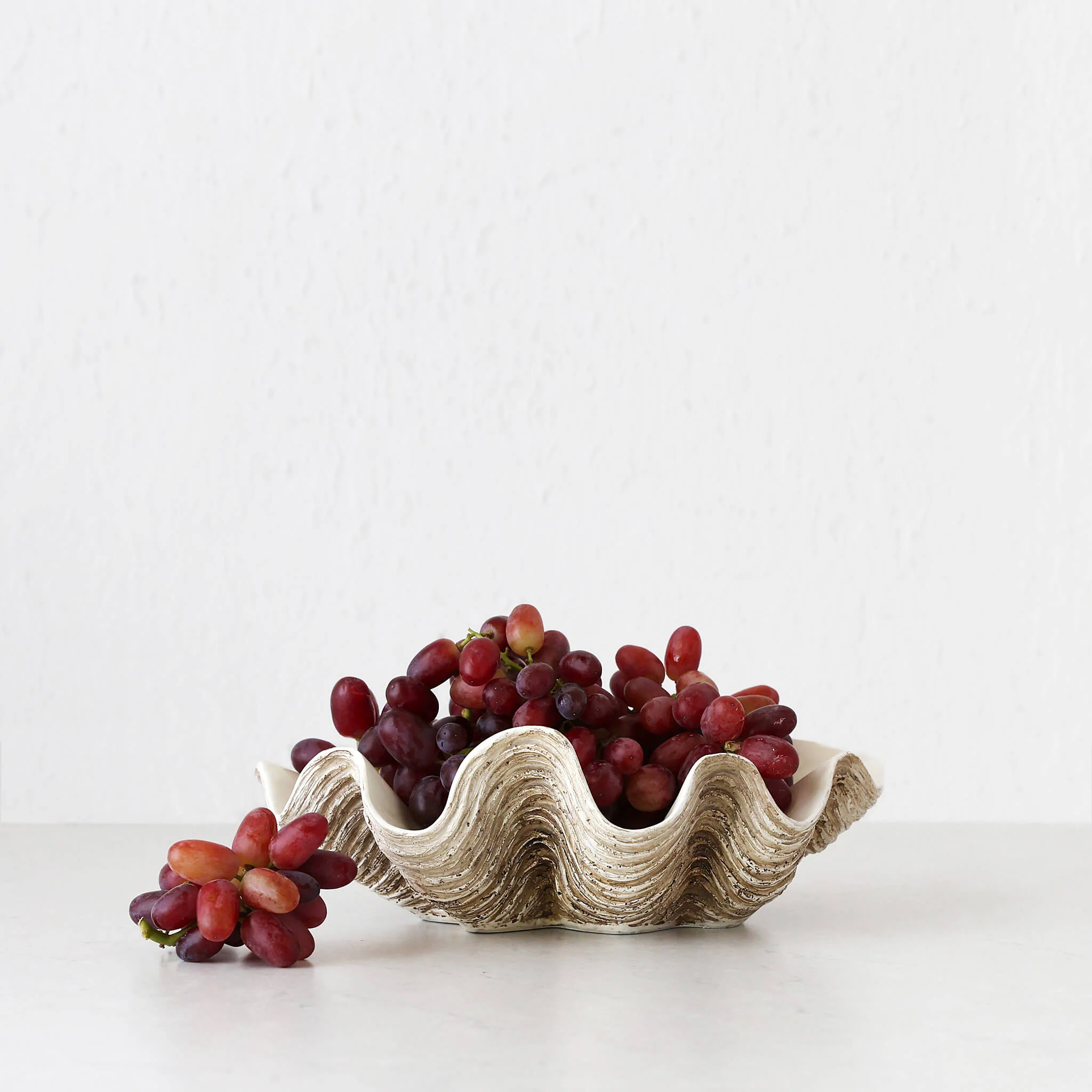 GIANT CLAM SHELL | DECORATIVE BOWL | NATURAL RESIN | MEDIUM