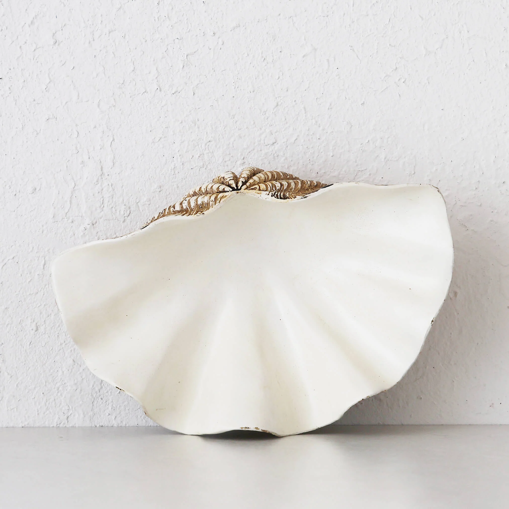 GIANT CLAM SHELL | DECORATIVE BOWL | NATURAL RESIN | MEDIUM - Image 3
